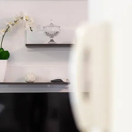 Apartment Tomy