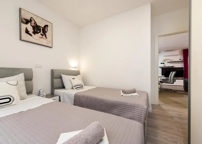 Daire Tomy